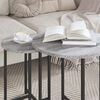 vidaXL Side Table Set 2 pcs Grey Sonoma and Black