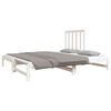 vidaXL Pull-out Day Bed without Mattress White 2x(90x190) cm
