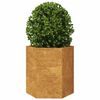 vidaXL Garden Planters 2 pcs Hexagon 46x40x45 cm Weathering Steel