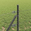 Product Thumbnail Image 4 of 15