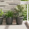 Product Thumbnail Image 2 of 12