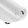 vidaXL Clear Tarpaulin with Eyelets 2x10 m PVC