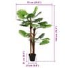 Product Thumbnail Image 5 of 5