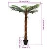 Product Thumbnail Image 6 of 6