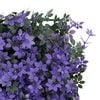 Product Thumbnail Image 6 of 8