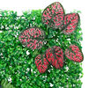 Product Thumbnail Image 6 of 8