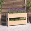 vidaXL Planter 112x25x66 cm Solid Wood Pine