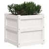 vidaXL Garden Planter White 50x50x50 cm Solid Wood Pine