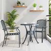 vidaXL Chair 2 pcs Anthracite 56 x 65 x 89cm Steel