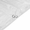 vidaXL Tarpaulin with Eyelets Transparent 2 x 2 m Polyethylene