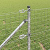 Product Thumbnail Image 4 of 11