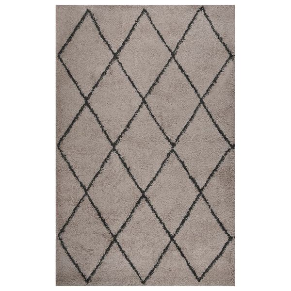 vidaXL Shaggy Rug High Pile Beige and Anthracite 200x290 cm