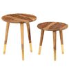 vidaXL Coffee Tables 2 pcs Solid Wood