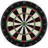 vidaXL Professional Dart Set with Dartboard Sisal Steel