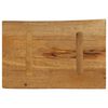 vidaXL Table Top 50x40x2.5 cm Live Edge Solid Wood Mango