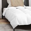 vidaXL Winter Duvet with Pillow 2 pcs White Down Feather