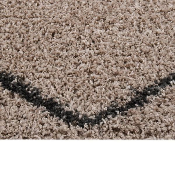 vidaXL Shaggy Rug High Pile Beige and Anthracite 140x200 cm