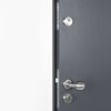 vidaXL Front Door Anthracite 100x200 cm Aluminium