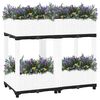 Product Thumbnail Image 6 of 8