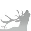 Product Thumbnail Image 3 of 6