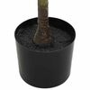 Product Thumbnail Image 3 of 5