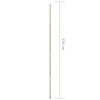 Product Thumbnail Image 6 of 6