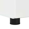 vidaXL Bathroom Cabinet with Storage High Gloss White 61 x 35 x 64 cm
