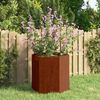 Product Thumbnail Image 2 of 11