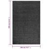 vidaXL Shaggy Rug High Pile Anthracite 200x290 cm