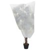 Product Thumbnail Image 2 of 9