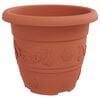 Product Thumbnail Image 6 of 12