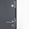 vidaXL Front Door Anthracite 100x200 cm Aluminium