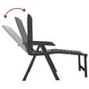 vidaXL Sun Lounger Anthracite Plastic
