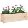 vidaXL Garden Planters 2 pcs 100x31x31 cm Solid Pinewood