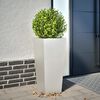 Product Thumbnail Image 2 of 10
