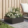 Product Thumbnail Image 2 of 7