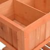 vidaXL Herb Planter 80x60x80 cm Solid Firwood