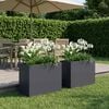 Product Thumbnail Image 2 of 8