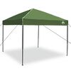 vidaXL Canopy Tent Manual Green 243 x 243 x 251 cm Fabric