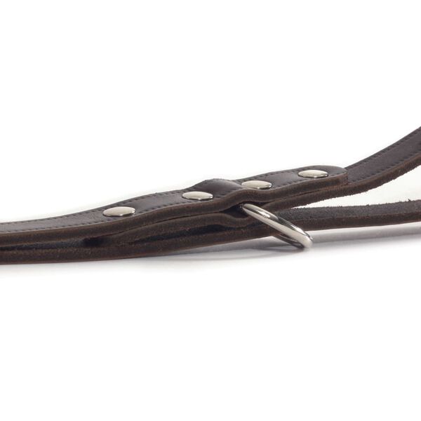 Beeztees Training Leash Leather Brown 200x1.2 cm 736401