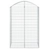 vidaXL Arched Gabion Basket 100x50x140/160 cm Galvanised Iron