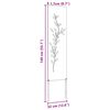 Product Thumbnail Image 13 of 13
