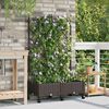 Product Thumbnail Image 2 of 8