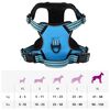 vidaXL Dog Harness with Reflective Stripes Adjustable Blue XL