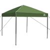 vidaXL Camping Tent Set Folding 2 pcs Green Taffeta and Fabric