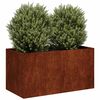 Product Thumbnail Image 2 of 10