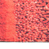 Product Thumbnail Image 5 of 6