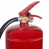 Smartwares Foam Fire Extinguisher 3 L Class AB Steel FEX-15230