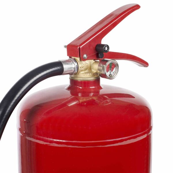 Smartwares Foam Fire Extinguisher 3 L Class AB Steel FEX-15230