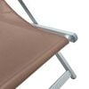 vidaXL Folding Beach Chairs 2 pcs Brown Aluminium and Textilene
